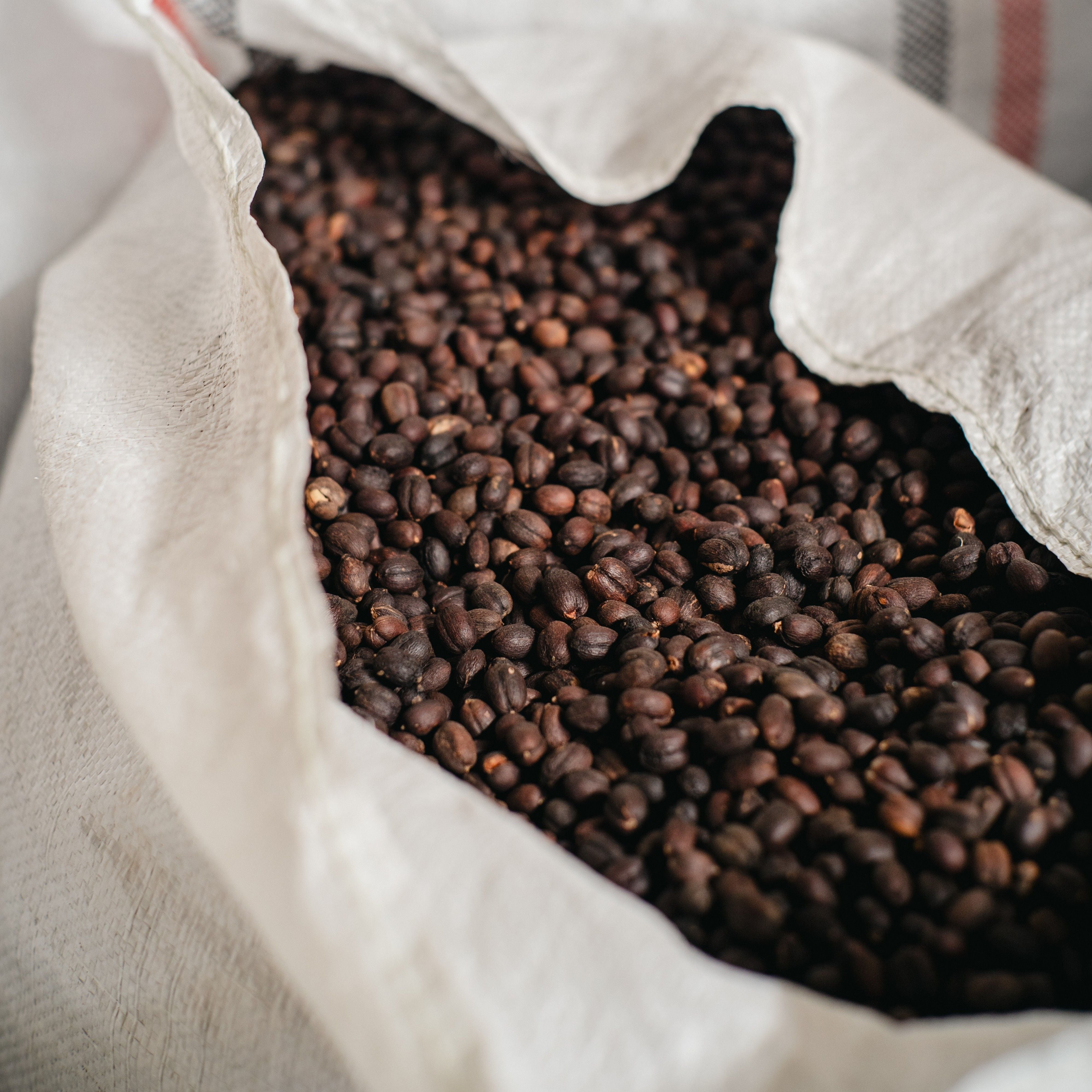 816 Halata Natural_2_R.jpg